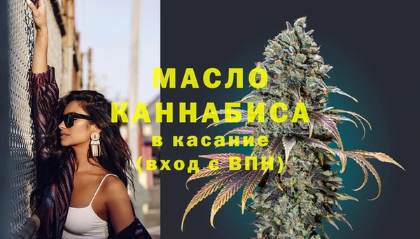 гашик Майский