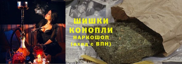 крисы Магадан