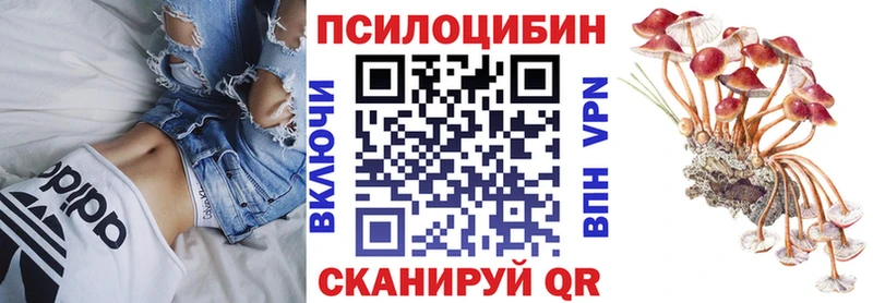 наркота  Карачаевск  Галлюциногенные грибы мицелий 