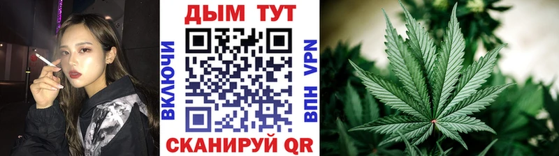 Каннабис планчик  Карачаевск 